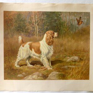 VINTAGE 1945 COCKER SPANIEL HUNTING DOG ART PRINT BY EDWIN MEGARGEE